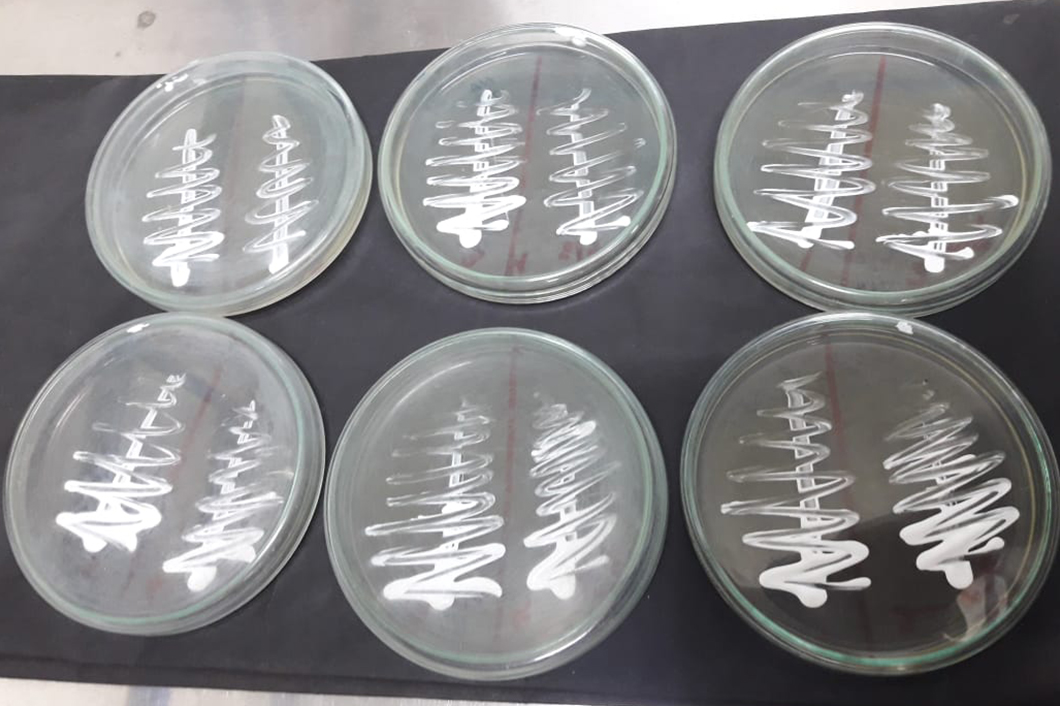 Microbiological Testing