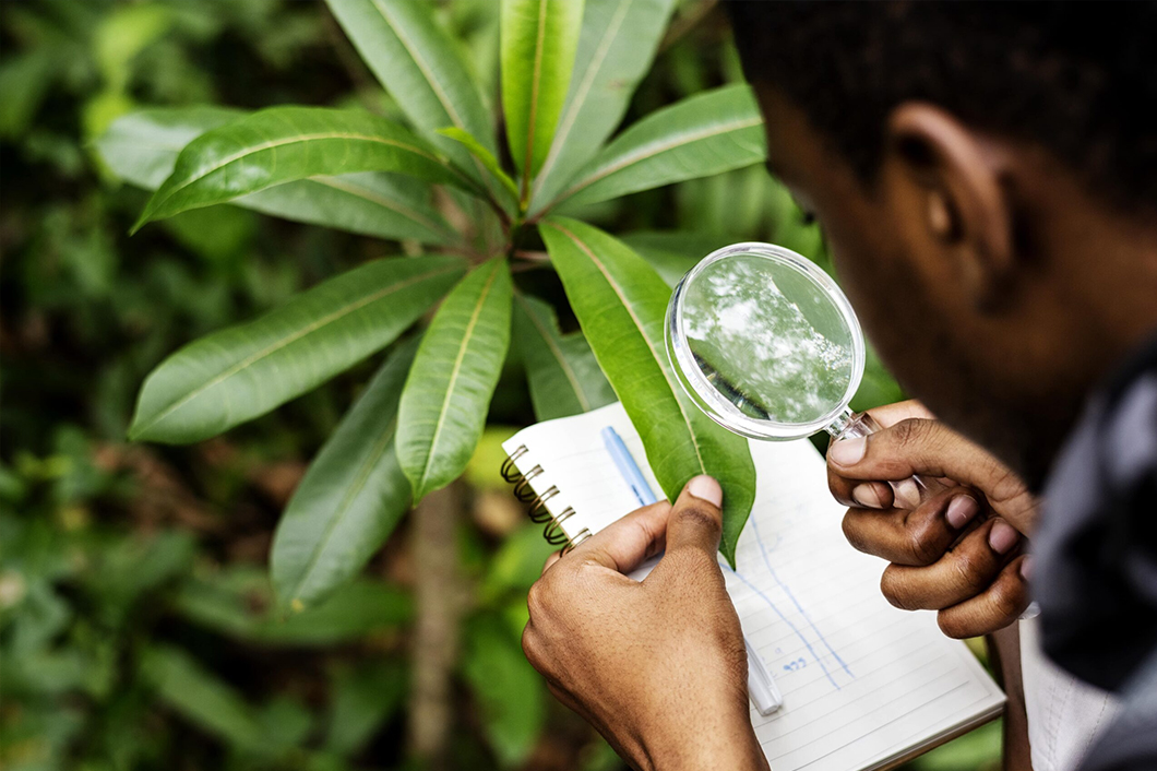Environmental Testing